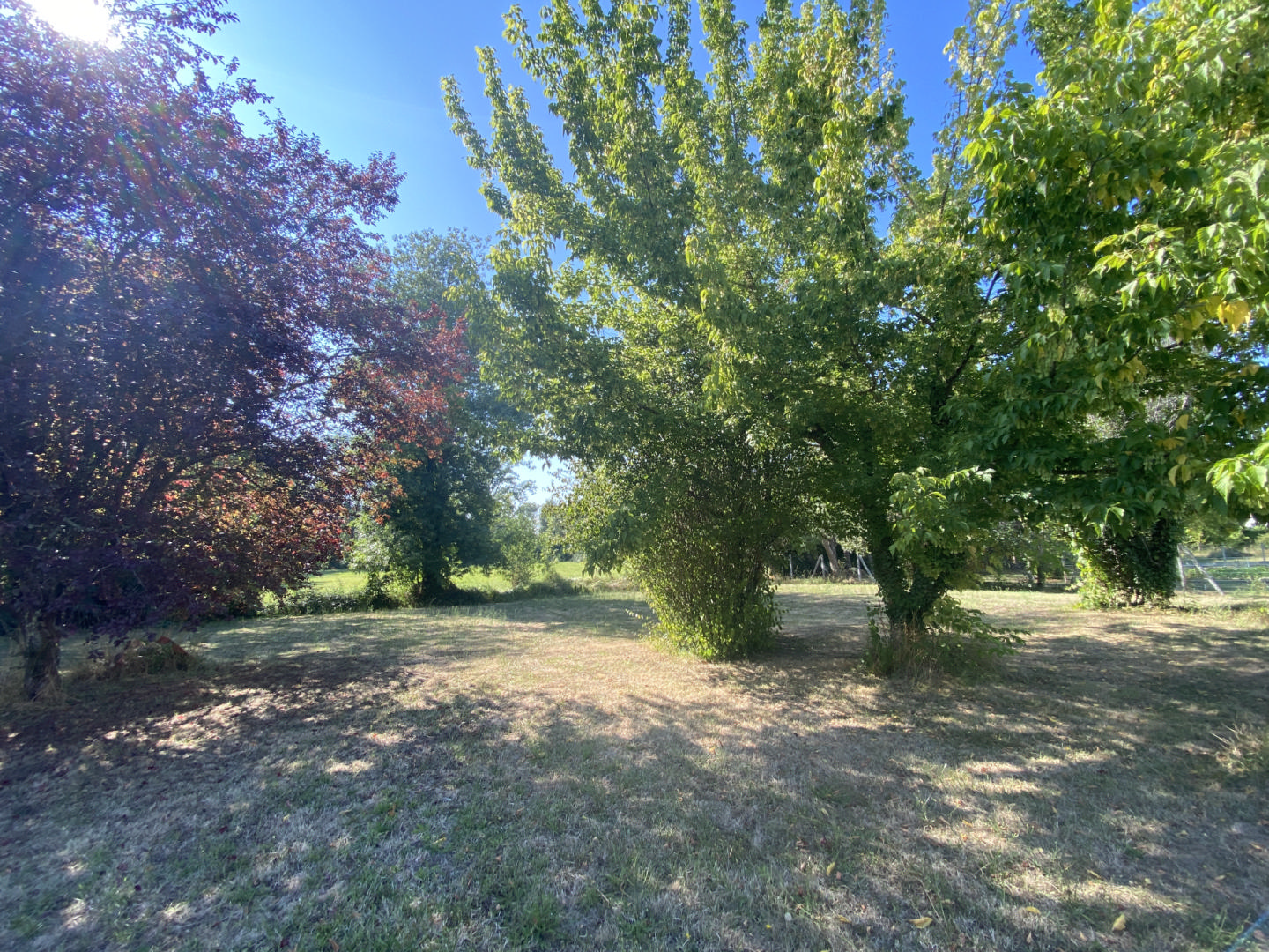 Rare opportunity: Large townhouse for sale in Chalais, South Charente.