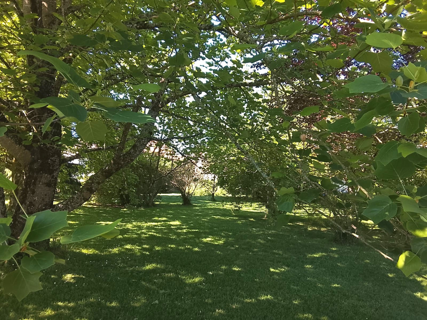 Haute-Vienne, Nr Mortemart, Village House, Gardens,Views