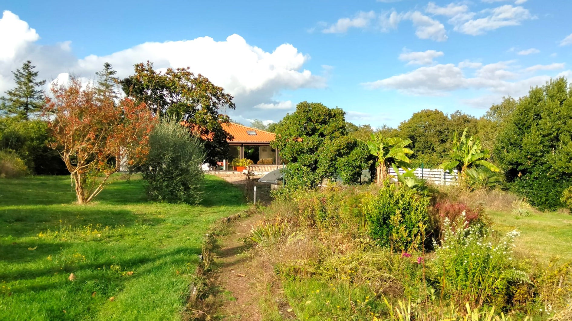 Village House, Views, Gîte, Pool, 1.3 ha, Charente