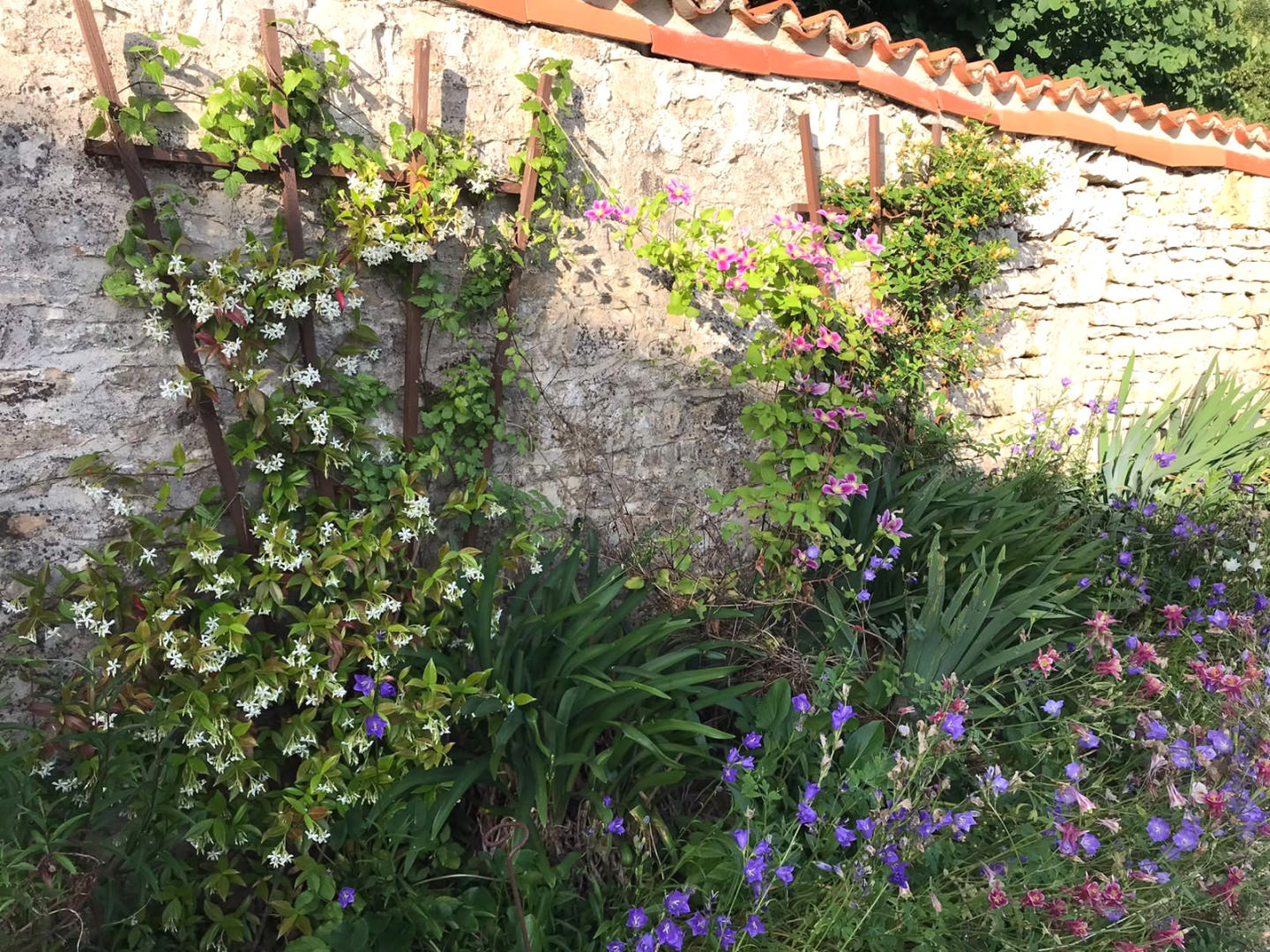 Near Verteuil, Charming Old Stone Detached Village House, Views, Remarkable Country Gardens