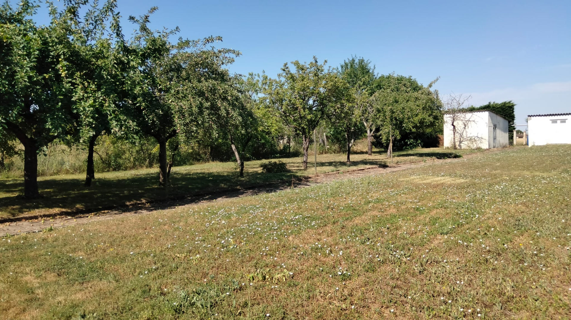 Village House Mauprevoir, Gardens, Garage, Outbuildings, Walk to Shops, 3 Bedrooms, 2 Bathrooms