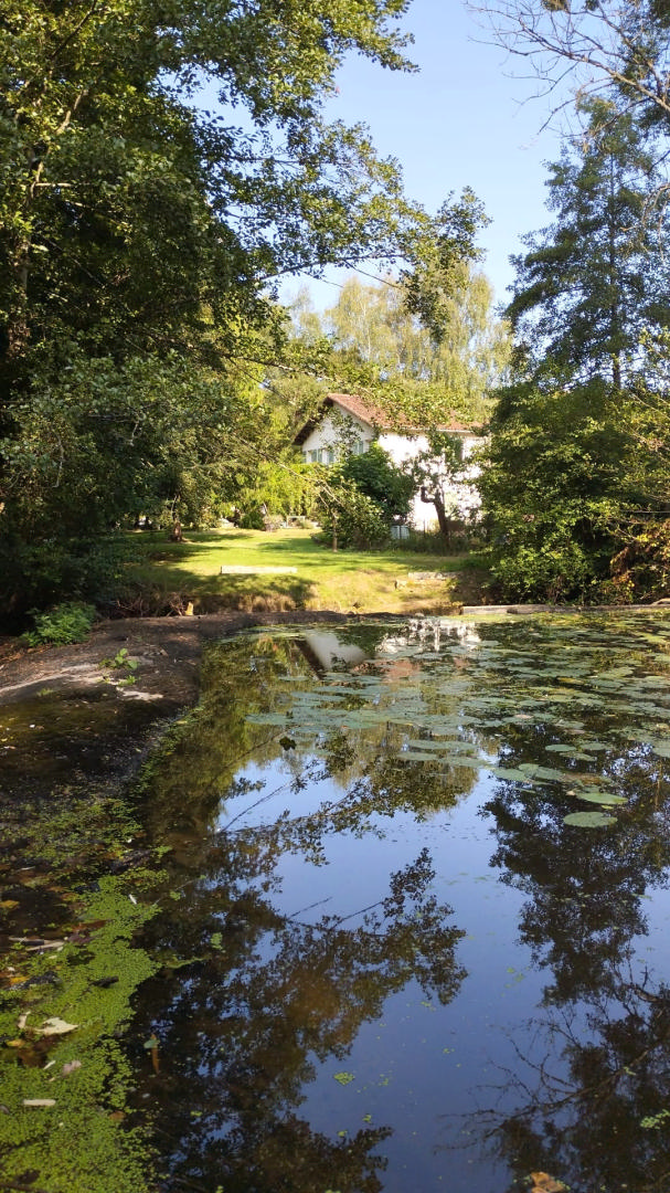 Riverside Village House, 4 Bedrooms , River Views, Barns, Water Sports