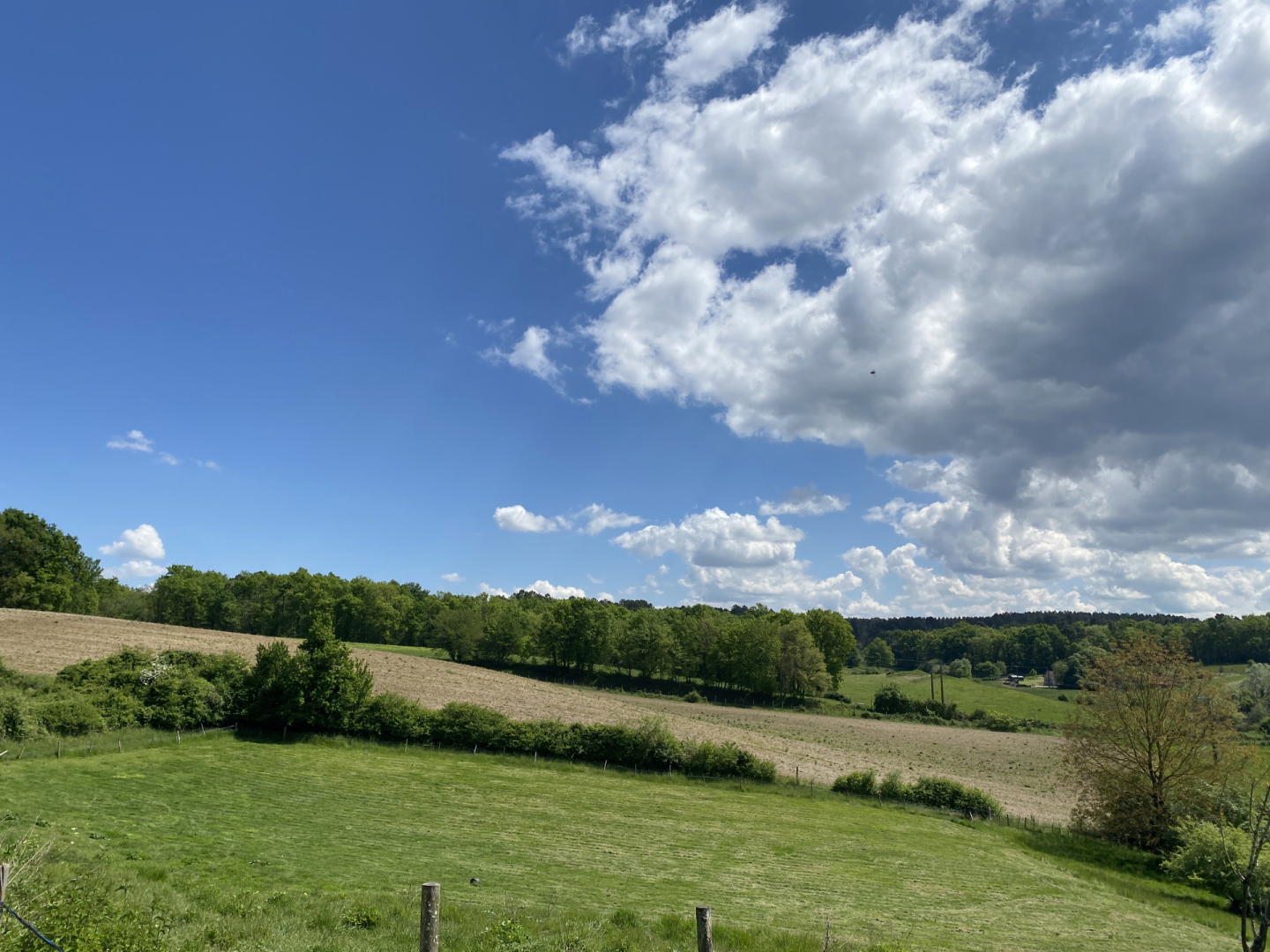 Near Aubeterre, country house with 2 guest houses, over a hectare of grounds. Beautiful views.