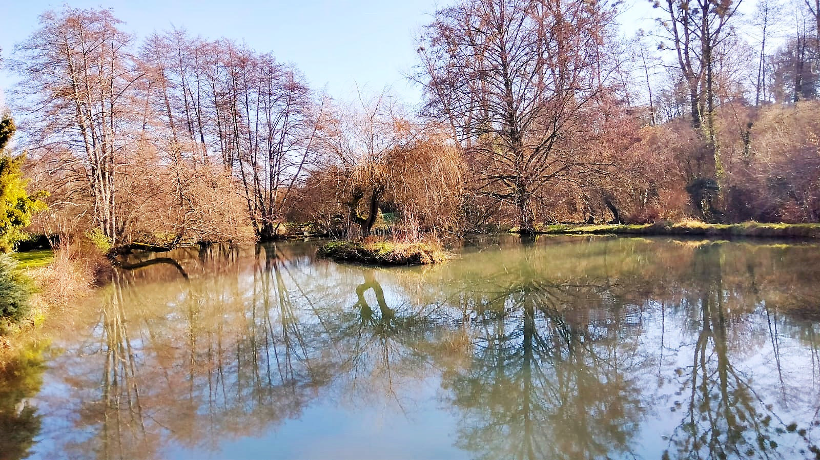 Charente. Watermill, 8 Ha, Stream, Lake, Waterfall, Woodland, Guest House