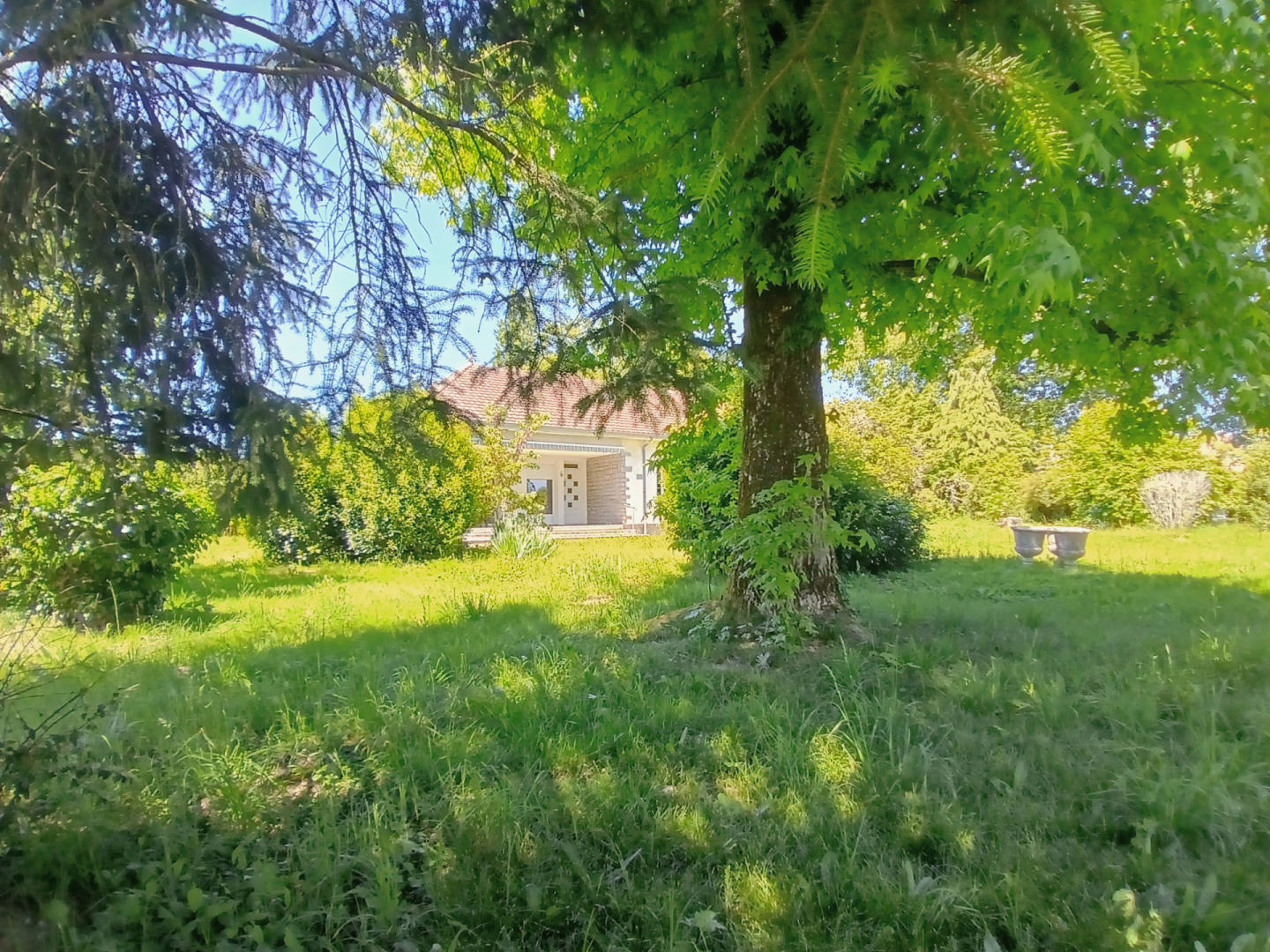 3 bedroomed Pavillion style house on one level with an acre of land for sale Dordogne
