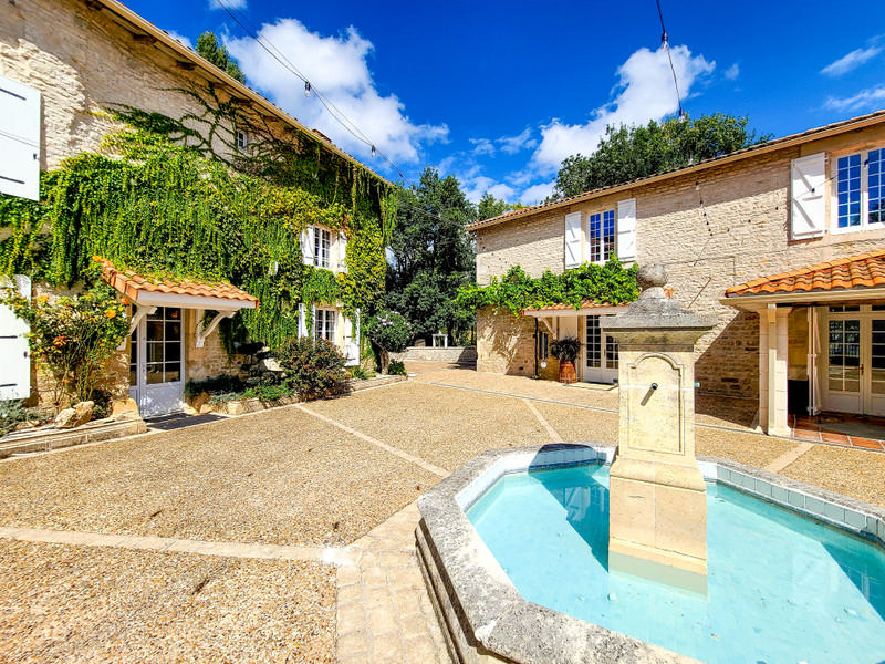Historic Former Mill, 5 HA,11 beds, 2 Gîtes, Pool, Views, Eco Power - Charente