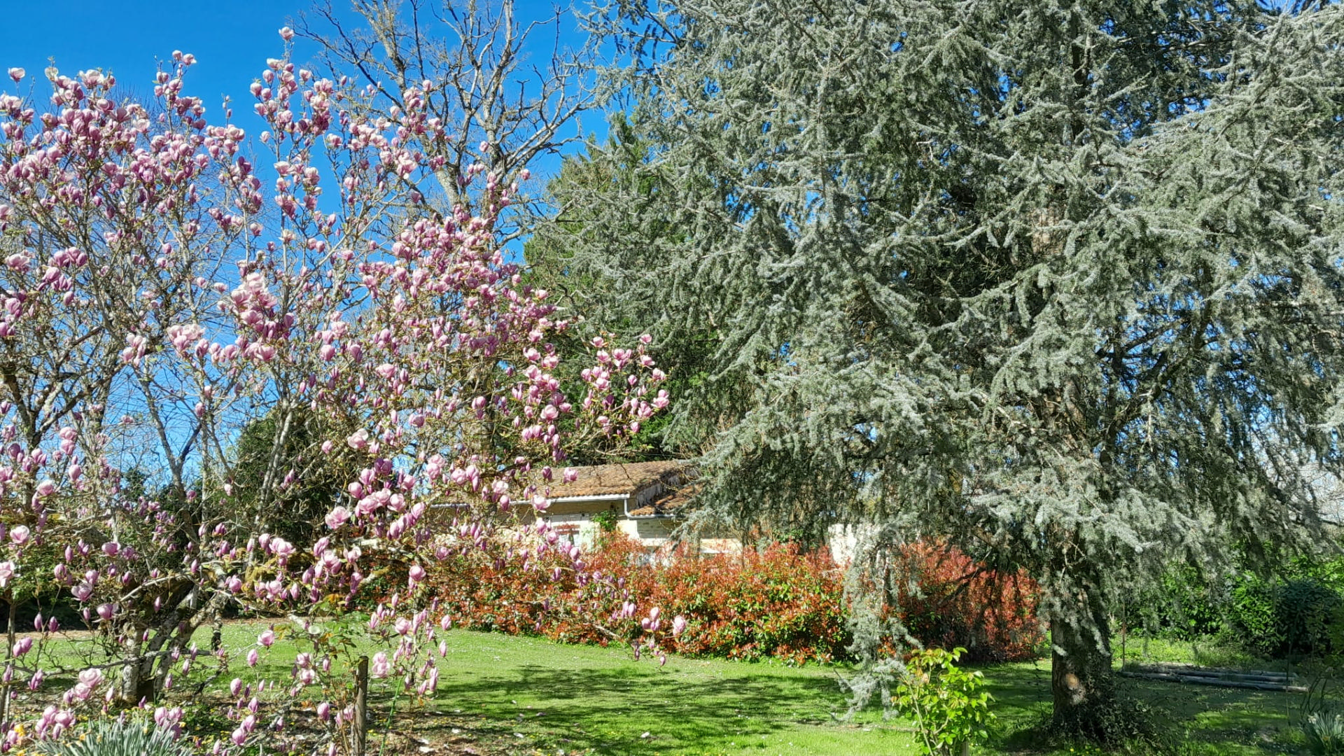 Le Petit Château, Near Verteuil sur Charente, 5 bedrooms, Guest House, Pool
