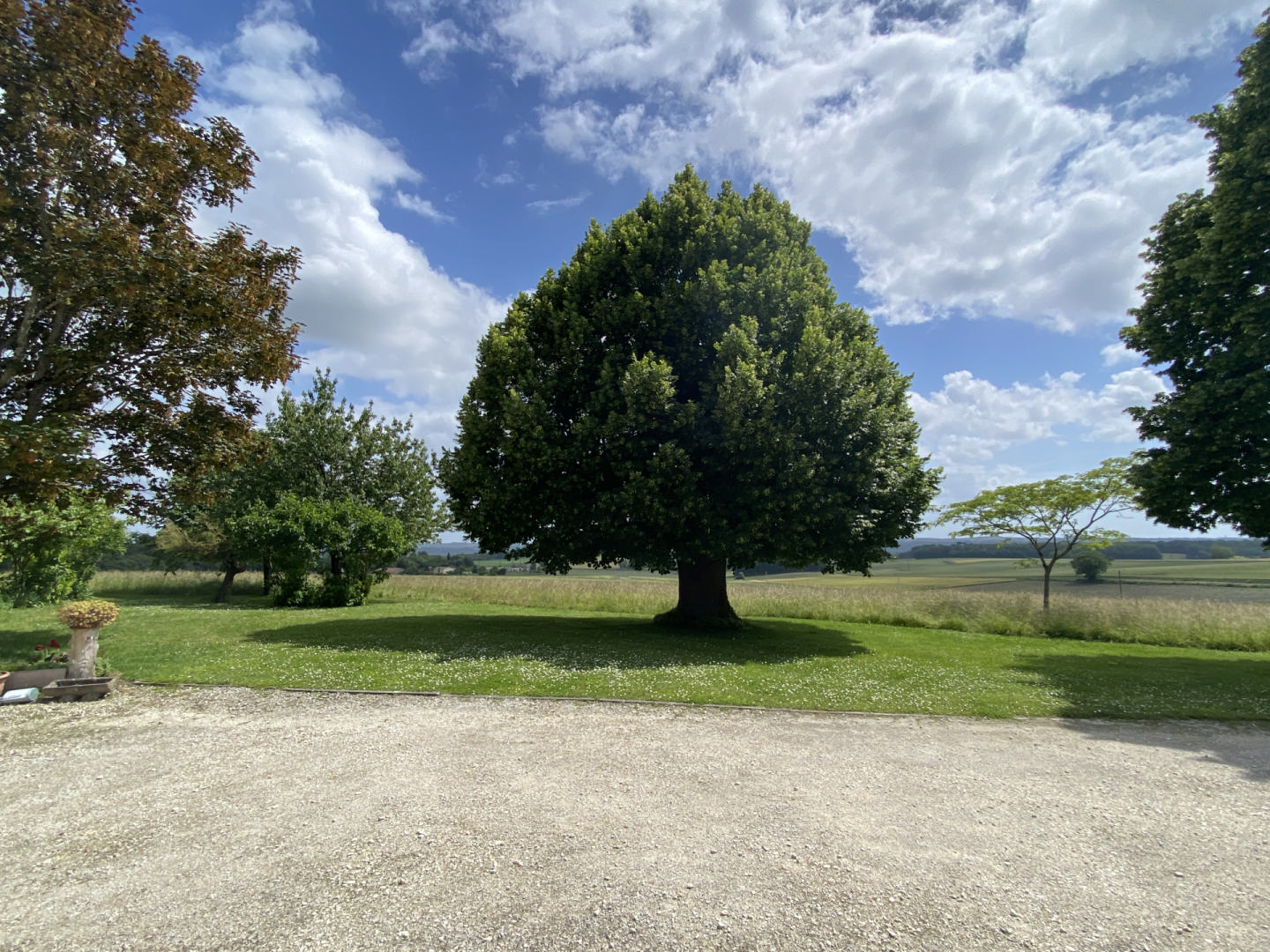 Country Property with Great Potential and Views near Chalais
