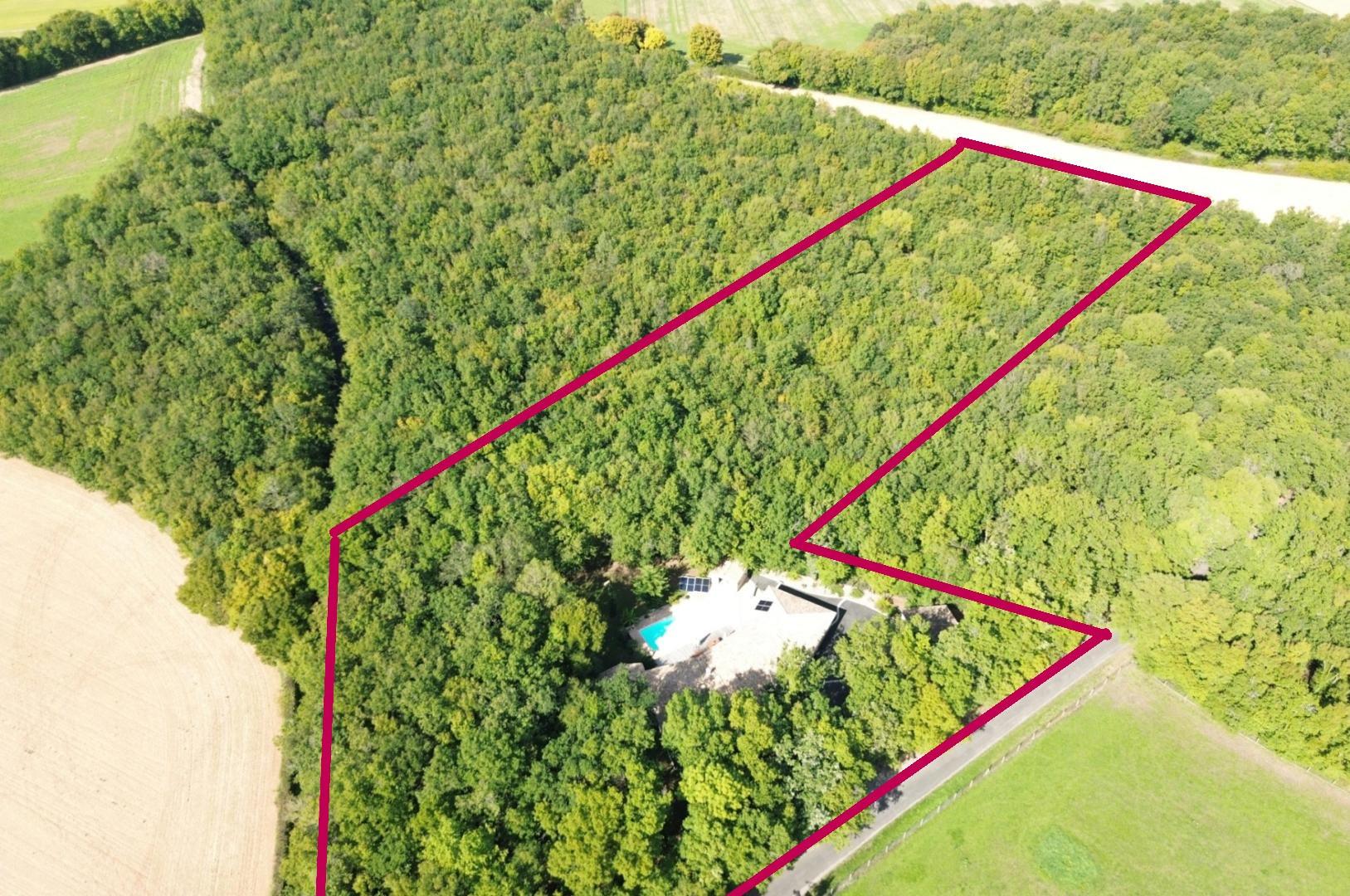 Woodland Lodge, 1.5 Ha, 5 Bedrooms, Pool, 43 m² Covered Terrace, Nr Angoulême