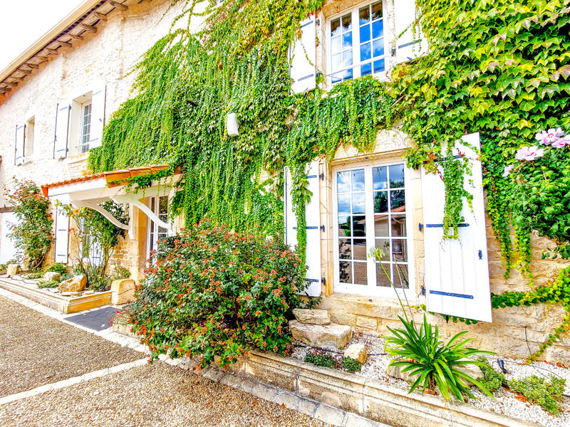 Historic Former Mill, 5 HA,11 beds, 2 Gîtes, Pool, Views, Eco Power - Charente