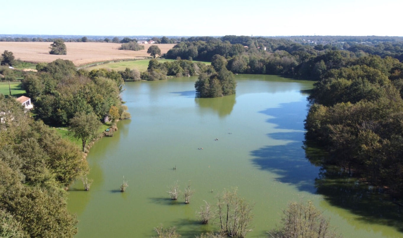 5 Ha Fishing Lake, Woodland, Two Properties, Lake Views