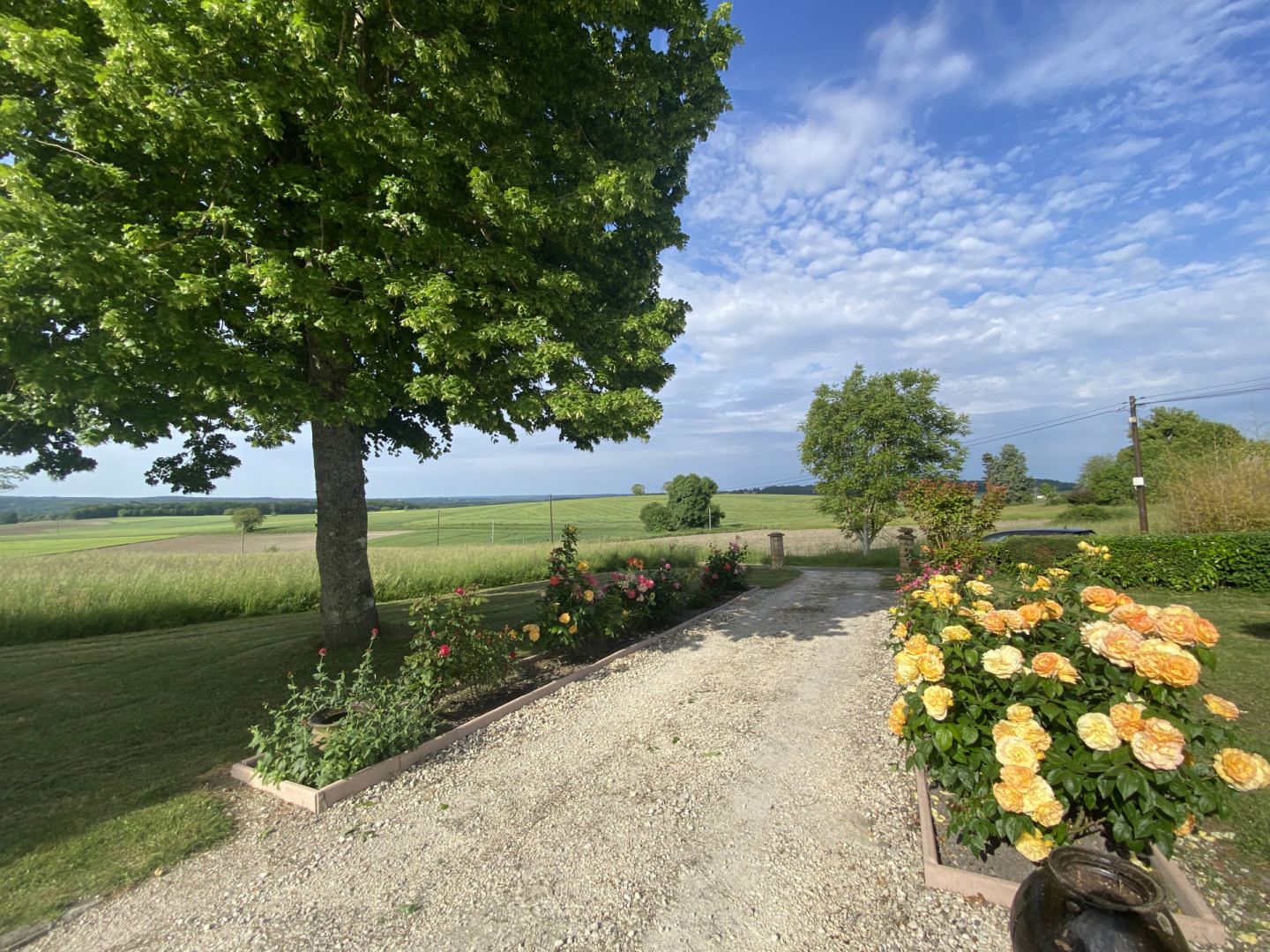 Country Property with Great Potential and Views near Chalais