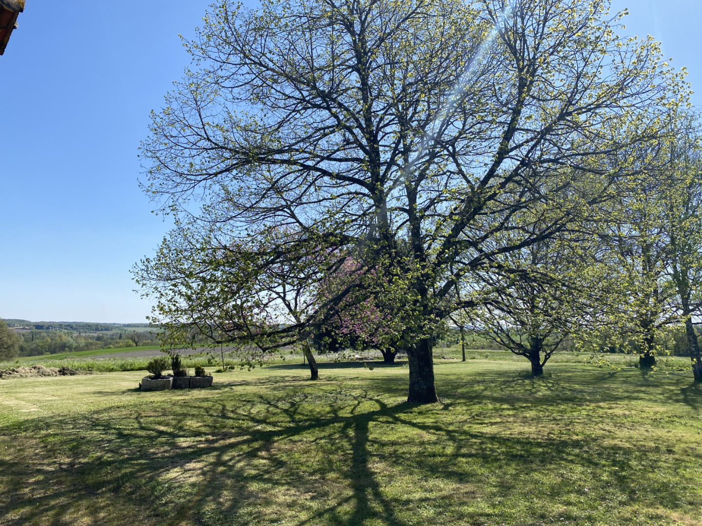 Near Aubeterre - 5 bedroom country house with oubuildings. Fixed price.