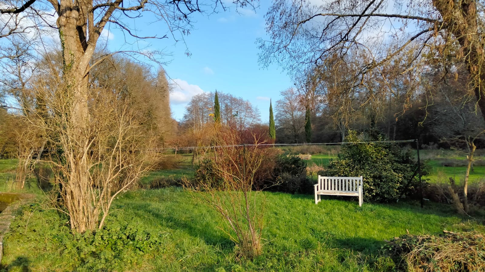 Charente. Watermill, 8 Ha, Stream, Lake, Waterfall, Woodland, Guest House