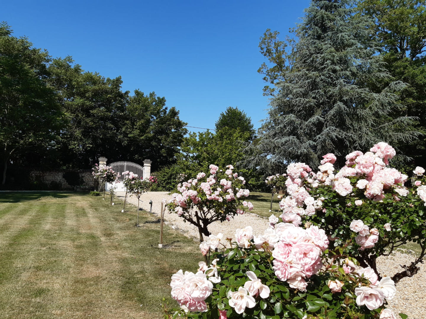 Le Petit Château, Near Verteuil sur Charente, 5 bedrooms, Guest House, Pool