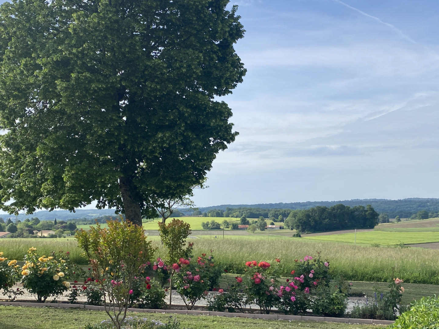 House in Saint-Avit - Image 2