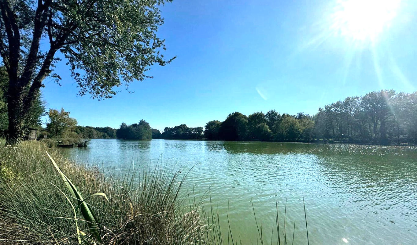 5 Ha Fishing Lake, Woodland, Two Properties, Lake Views