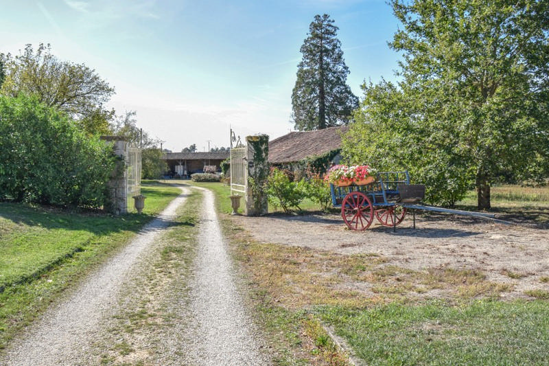 Two Charming Detached Properties, Large Barns, Lake, 14 Ha, Woodland, 2 Pools, No Near Neighbours, Potential Revenue